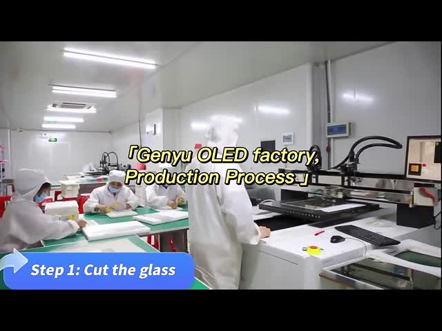 Çin Shenzhen Genyu Optical Co., Ltd. Şirket Profili