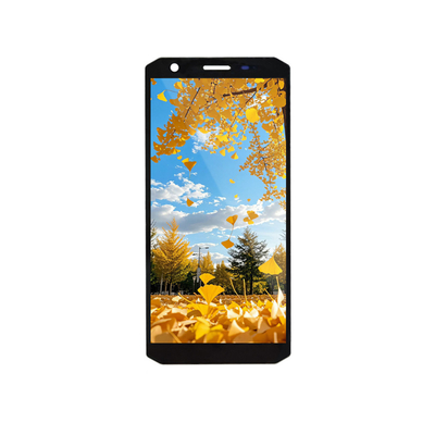 İyi bir fiyat. 5.45 İnç TFT LCD Ekran Modülü 720x1440 MIPI Arayüzü çevrimiçi